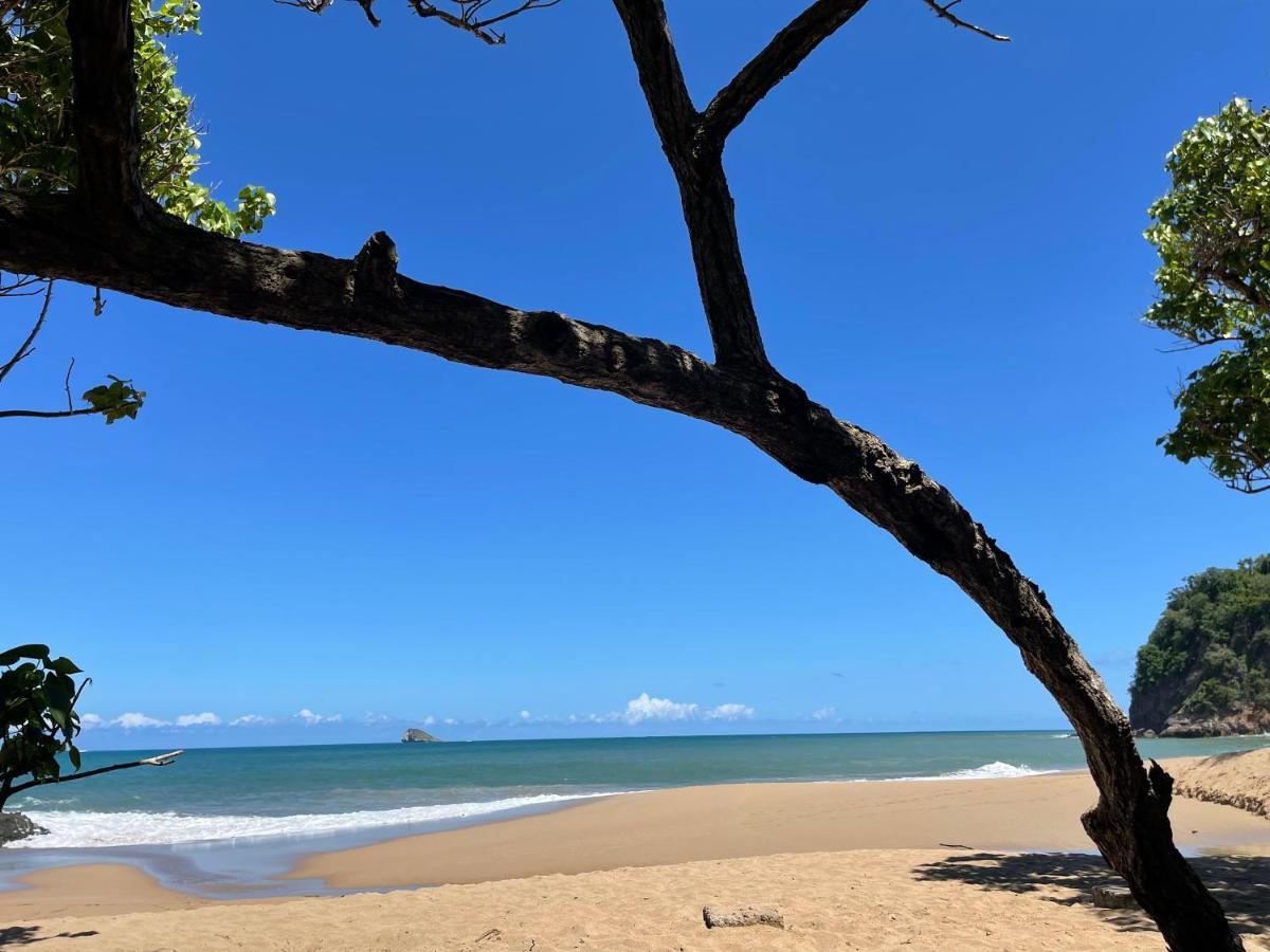 Côté Plage Saint-Francois  Ngoại thất bức ảnh